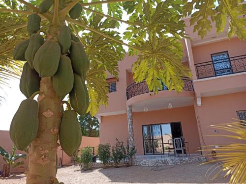 Saly Petite Cote House | Gite de la savane