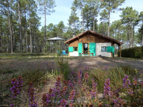Callen House | Gite vert