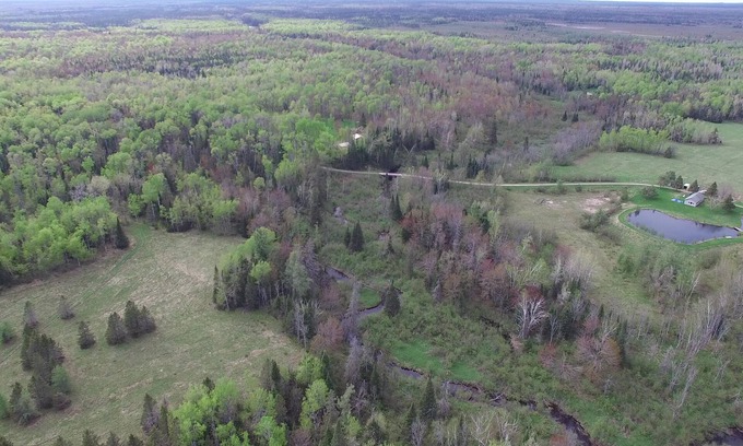 Brimley Cabin | Goldade Acres + Delirium Wilderness = Can't get much farther out than this