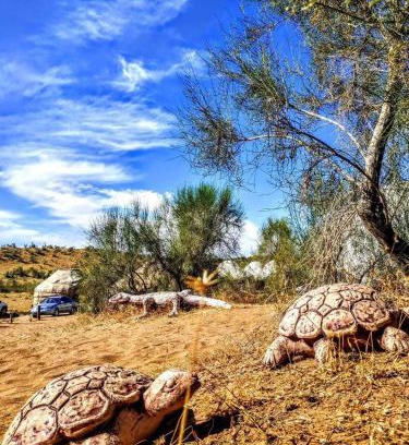 Navoiy Province Other | GOLDEN Safari YURT CAMP