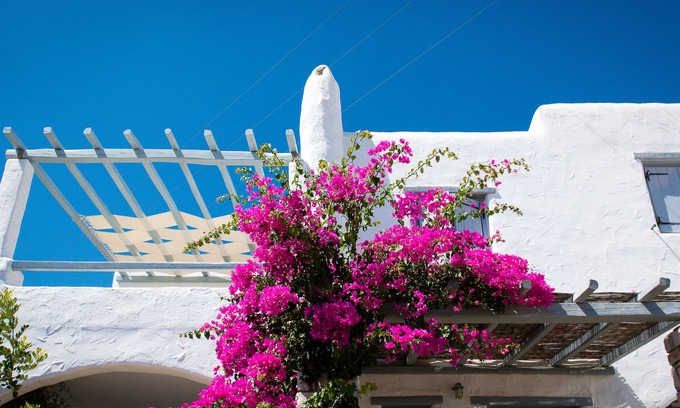 Drios Apartment | Gorgeous 2 bedroom apartment with sea views in Drios, near Golden Beach.