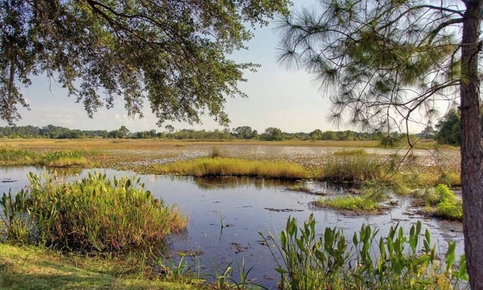 Clermont House | Gorgeous Island Estate - 10 Bedrooms In 2 Neighboring Guest Homes