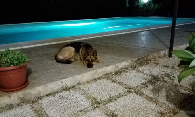 Epipoli Villa | Gorgeous villa with swimming pool