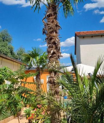 Frankenheim-Lindennaundorf Apartment | Grahl´s Ferienwohnung