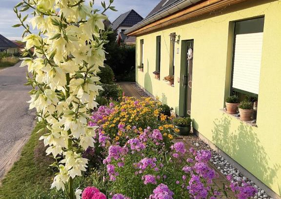 Feldberger Seenlandschaft Apartment | GRAHLS- Ferienapartement