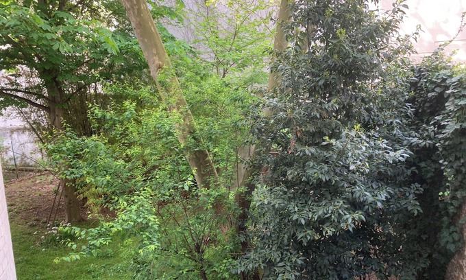 Quartier Saint-Ambroise Apartment | Grand Studio de Caractère Paris 11e à Deux pas du Père-lachaise