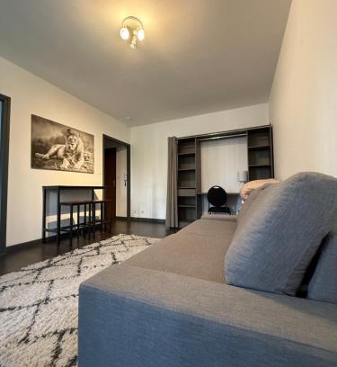 Rodez Apartment | Grand T1 très calme Proche centre ville Rodez