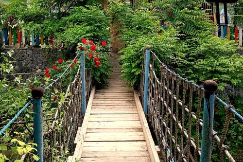 Sheki Resort | Grandsons Resort
