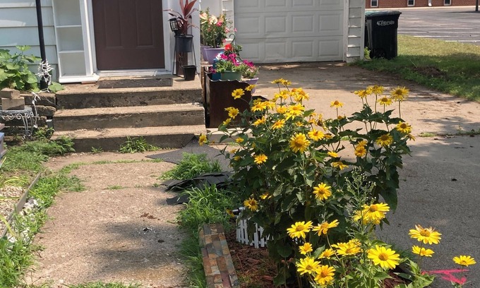 Little Falls House | Great Location in Little Falls, 3 Bedrooms, Cozy and Modern, WiFi, Fenced Yard