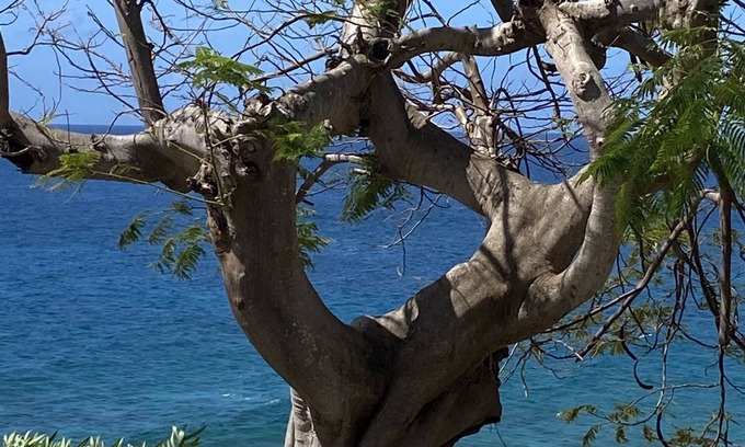 Bolongo Bay Condo | Great Summer Rates! 2/2 Condo W/Awesome Views - 2 Pools - walk to 2 Beaches!