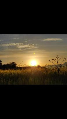 Kocasinan Other | Green farm Camping