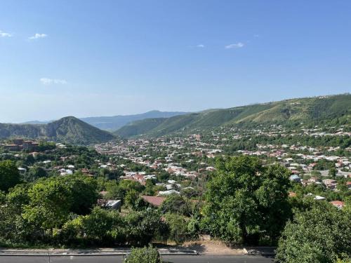 Goris House | Green House