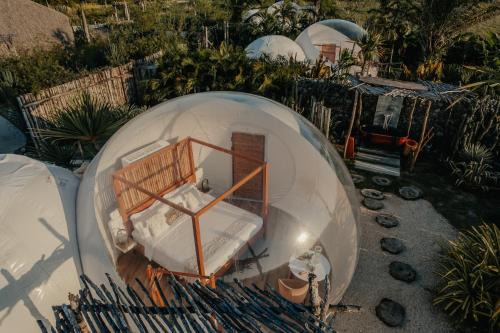 Sabaneta de Yasica Other | Green Land Bubble Glamping