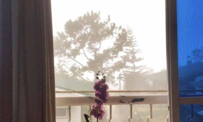 Baguio Apartment | Green Valley Hideaway+pet friendly+parking+wi-fi