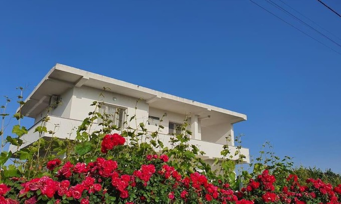 Rade Apartment | Green Villa