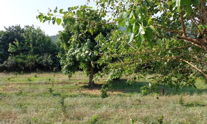 Lankaran Villa | GREEN Village Place