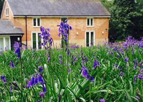 Denton House | Grooms Cottage