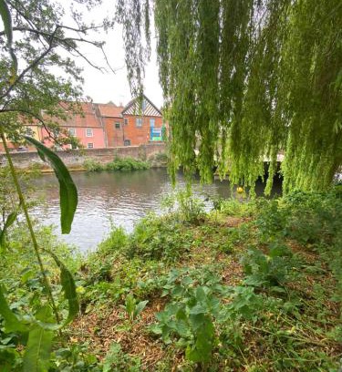 Norwich Apartment | Ground Floor Studio Apartment Norwich City Centre