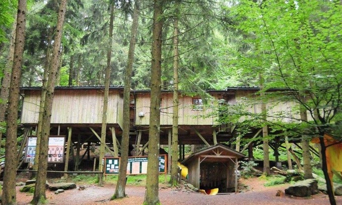 Kopfing im Innkreis House | Gruppenbaumhaus - Baumhotel