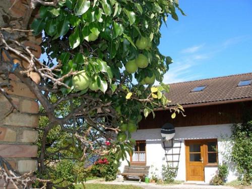 Riedering House | Gschwingerhof