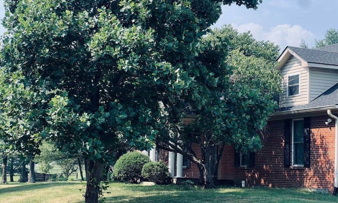 Paris Other | Guest Home on Historic Horse Farm