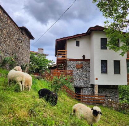 Kosovo House | GUEST HOUSE ELENA