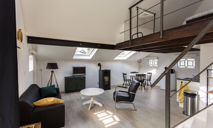 Damwald House | Guest house Lytshús Donia (3 km from Dokkum)
