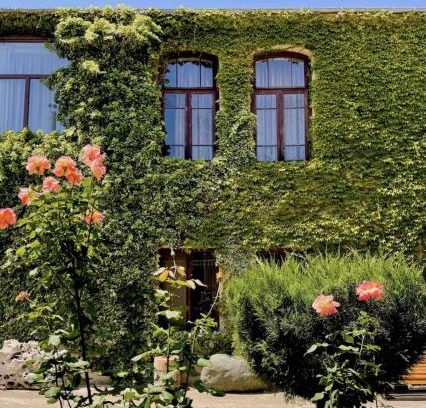 Ambrolauri House | Guesthouse Edena