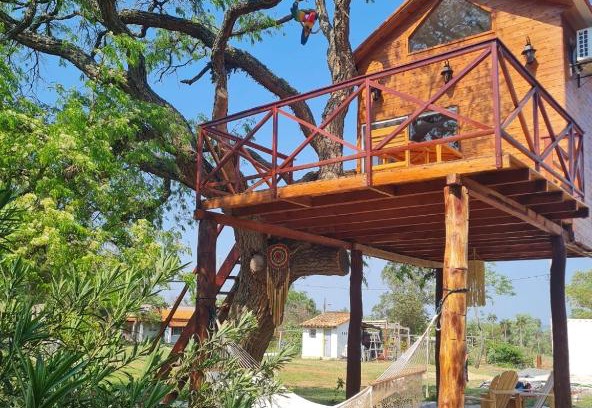 Cordillera House | Haasienda - Nido del Loro - Casa de Arbol
