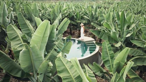Puerto de la Cruz Villa | Hacienda Los Orovales