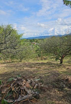 Belen de Umbria House | Hacienda tukuringa