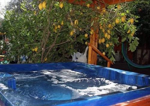 Yesod HaMa'ala Cabin | Hadar Bakfar