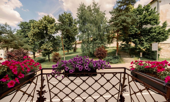 Tirgu Mures Hotel | Haller Boutique