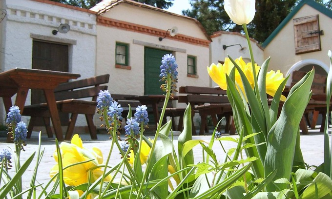 Laa an der Thaya House | Hanfthal-Hof