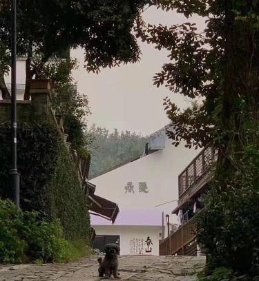 Xihu House | Hangzhou Spring B&B