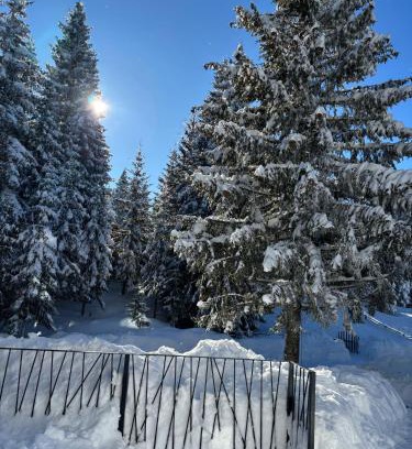 Kasidoli Apartment | Harmony Peak Jahorina