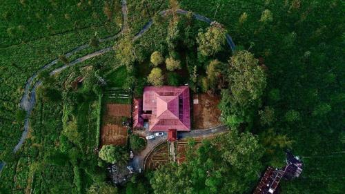 Valparai Hotel | Harris Holiday Inn