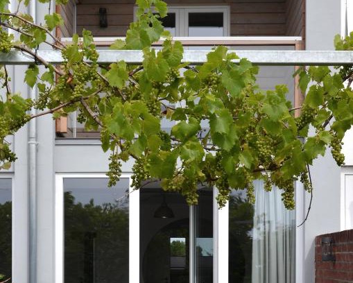 Eutin House | Haus 13 Eutin