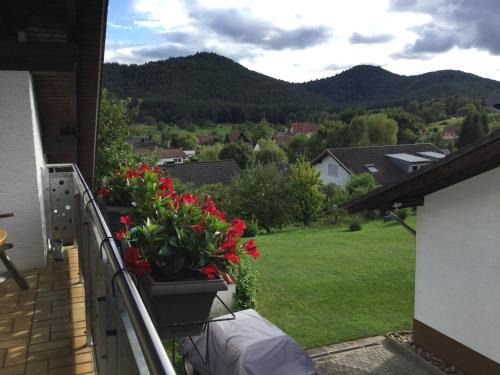Birkenhordt Apartment | Haus am Waldrand