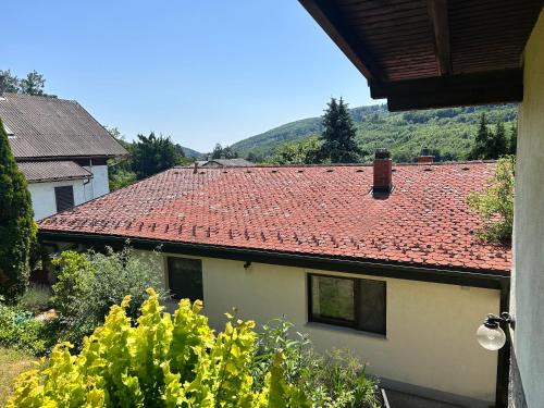 Hinterhainbach House | Haus Ingrid