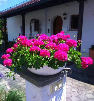 Eriskirch Apartment | Haus Säntisblick