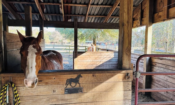 Bethera House | Hay Loft Charming 1 bedroom studio Barn on 12 Acre horse farm