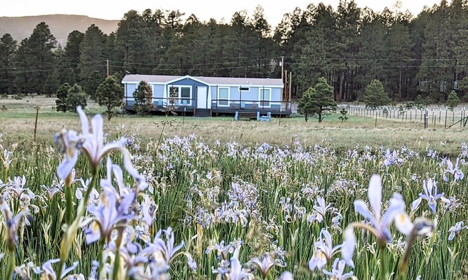 Alpine House | Hays Hideaway