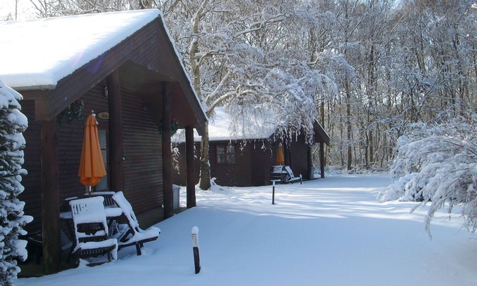 Ashford House | Heated Indoor Swimming Pool, beautiful 2 bed lodge set in woodland.