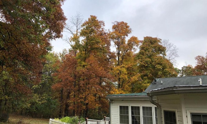 Nokesville House | heather home