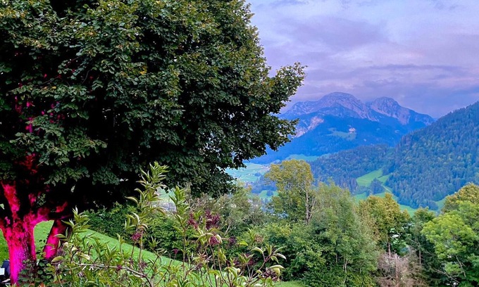 Rossiniere Apartment | Heidi Chalet Alps - Unique Experience - Authentic Part