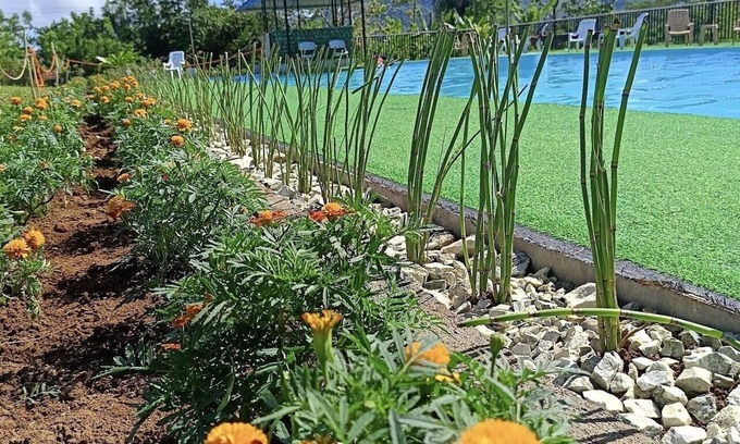 Arakan Resort | Helens Mountain Resort