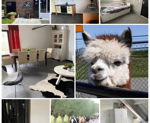 Leimuiden Bed & Breakfast | Herberg Boerderij de Straat-Hof