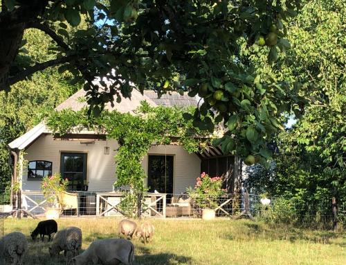 Empe House | Het Buitengebied