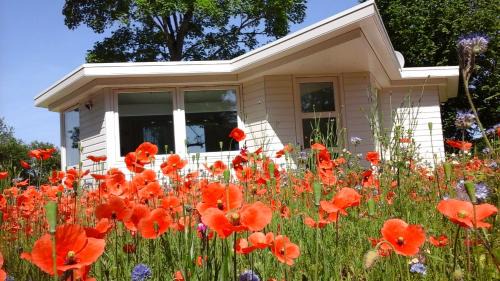 Hollandsche Rading Villa | Het Findament Tiny house